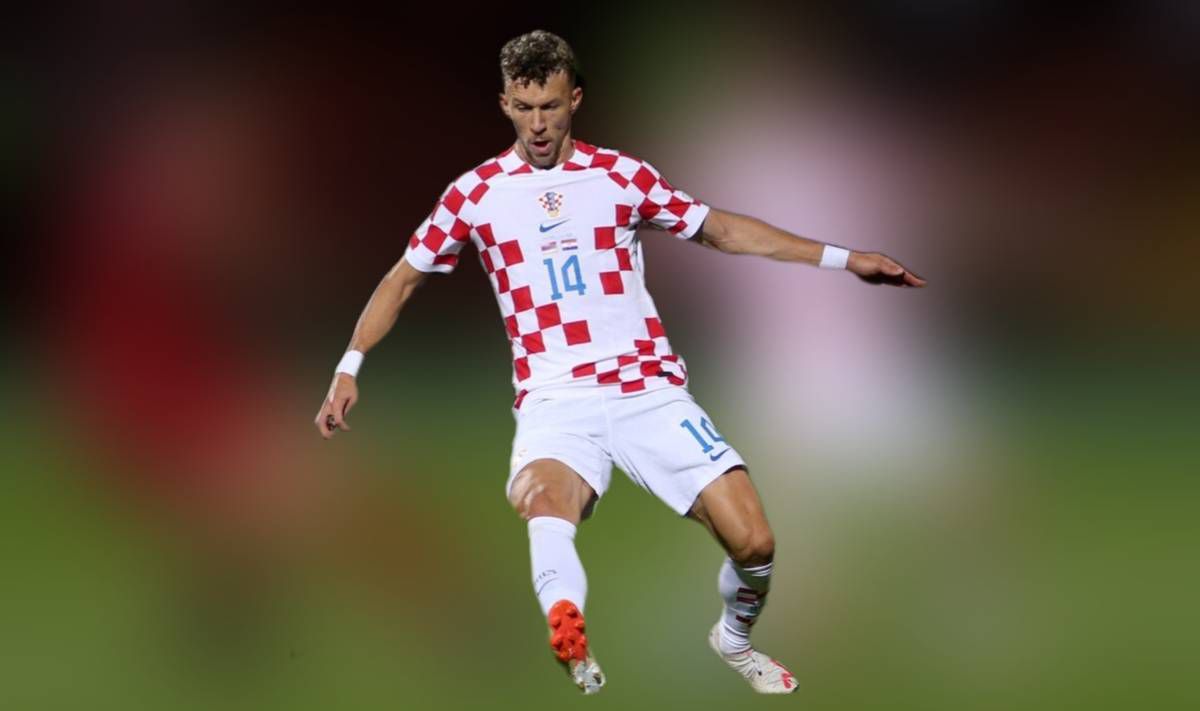 荷花直播