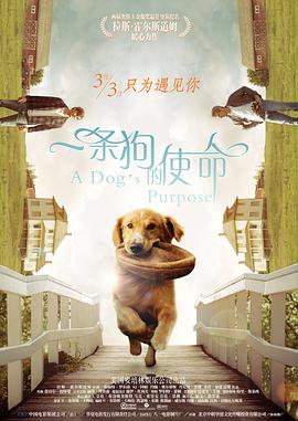 亚洲高清在线观看视频