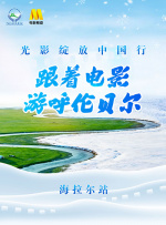 国产99久久久国产精品免费直播