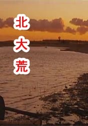 午夜国产在线