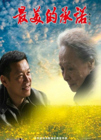 91视频在线免费观看